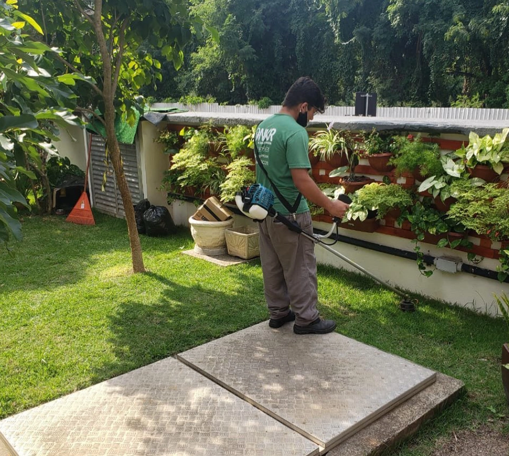 Projeto de Iluminação para Paisagismo - RJ // Modernização de PC de Luz