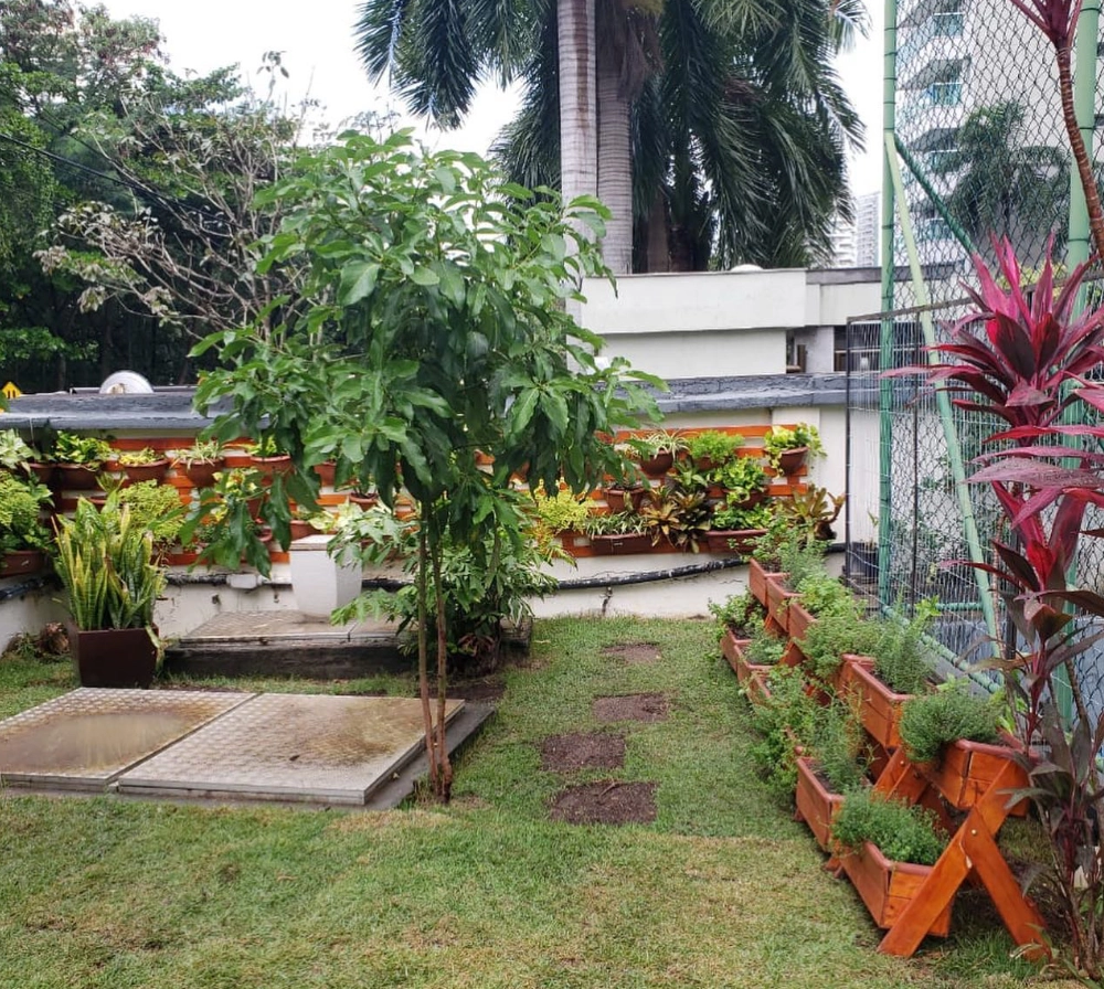 Projeto de Iluminação para Paisagismo - RJ // Modernização de PC de Luz